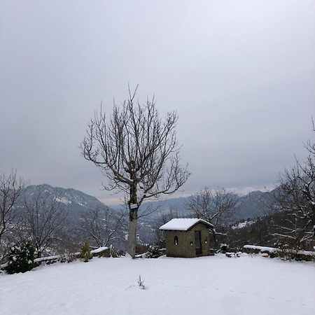 Παραδοσιακή Πέτρινη Κατοικία Στην Βλάχα Ελάτης Kültér fotó