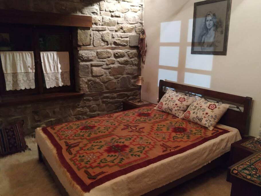 Παραδοσιακή Πέτρινη Κατοικία Στην Βλάχα Ελάτης Kültér fotó