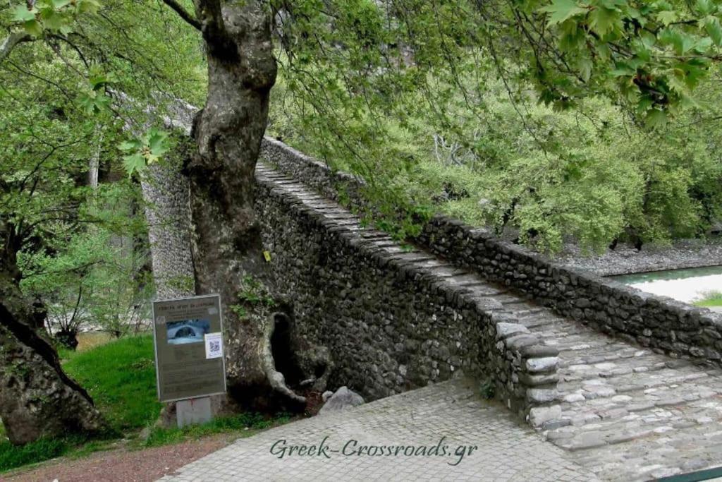 Παραδοσιακή Πέτρινη Κατοικία Στην Βλάχα Ελάτης Kültér fotó