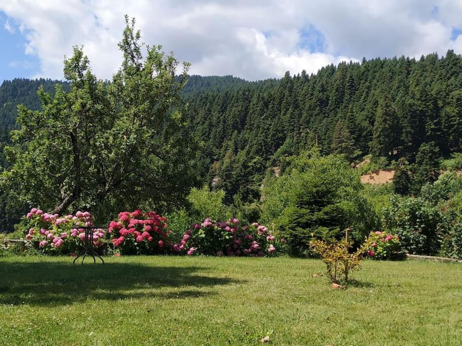 Παραδοσιακή Πέτρινη Κατοικία Στην Βλάχα Ελάτης Kültér fotó